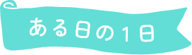 ある日の1日